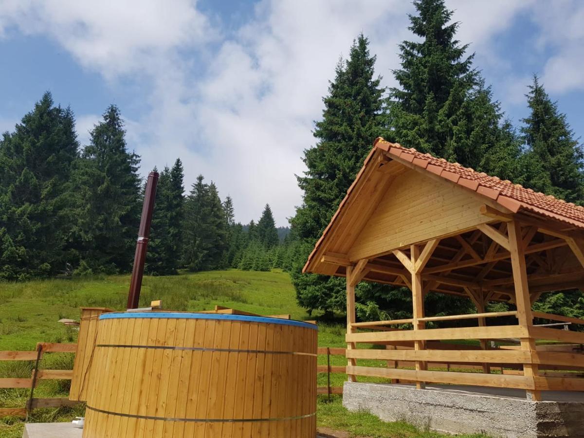Casa Bogdan Villa Въртоп Екстериор снимка